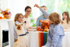 boy-holding-food-for-dog-at-dinner-table
