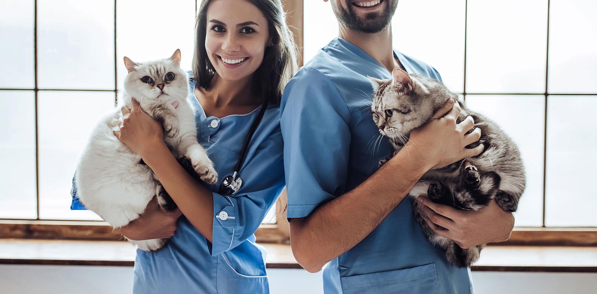 Veterinary Careers in Conroe, TX Triangle Animal Clinic